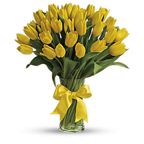 30 Yellow Tulips Bouquet
