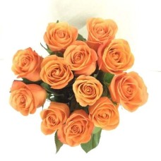 12 Orange Ecuadorian Roses (12 Roses)