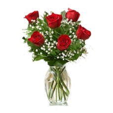 6 Red Ecuadorian Roses Bouquet