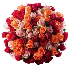 50 assorted Ecuadorian Roses Giant Bouquet