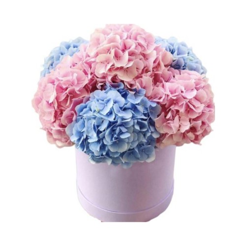 Hydrangeas Flower Box