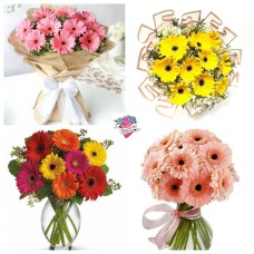 Customizable Gerbera Daisies Bouquet