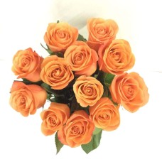 12 Orange Ecuadorian Roses