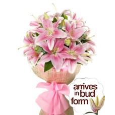 Pretty In Pink Stargazer Bouquet (4 Stems (16 flowers approx)) Pretty In Pink Stargazer Bouquet (4 Stems (16 flowers approx))