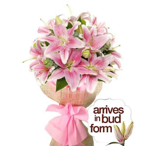 Pretty In Pink Stargazer Bouquet (5 Stems (20 flowers approx))