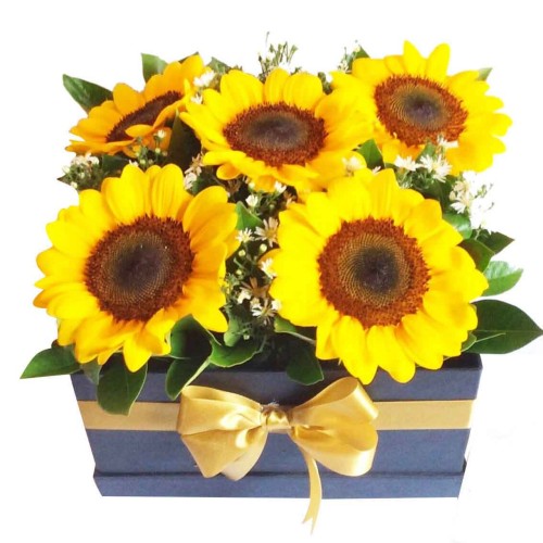 Sunflowers Box