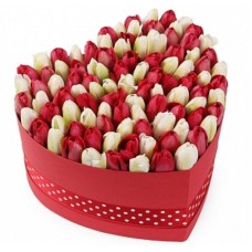 Tulips Lovers Heart Box (30-100)