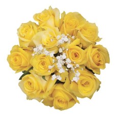 12 Yellow Ecuadorian Roses