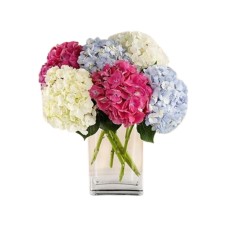 Assorted Hydrangeas Bouquet