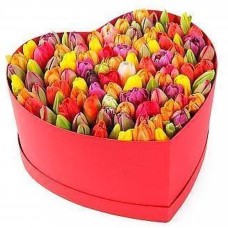 Rainbow Tulips Love Box (30-100)