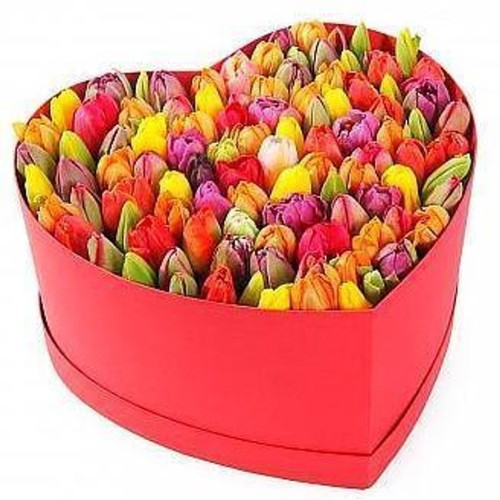 Rainbow Tulips Love Box (30-100)