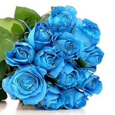 12 Blue Roses Royal Bouquet
