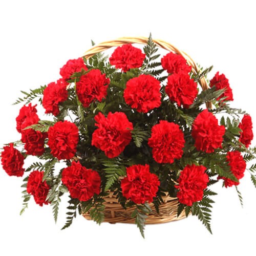 Carnations Basket