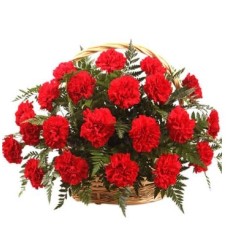 Carnations Basket