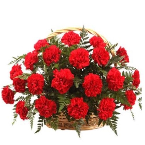 Carnations Basket