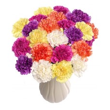 Rainbow Of Carnations Bouquet (30 Carnations) Rainbow Of Carnations Bouquet (30 Carnations)