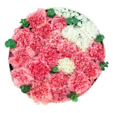 Carnations Round Box