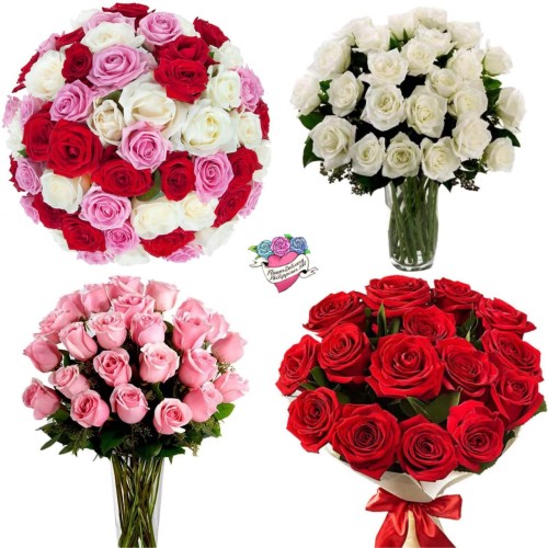 Customizable Ecuadorian Roses Bouquet (IMPORTED)