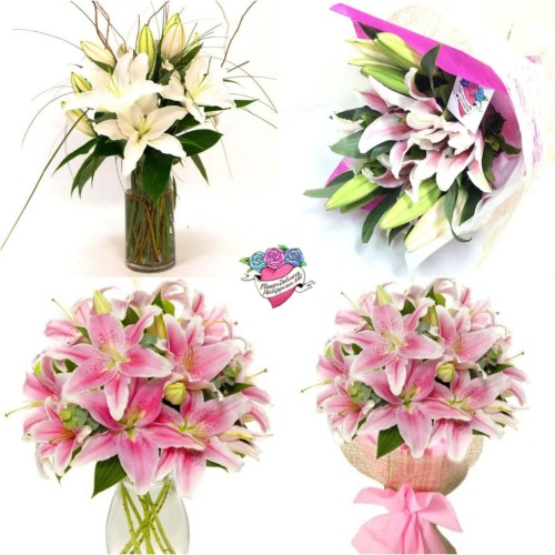 Stargazer & Casablanca Lilies Bouquet