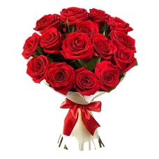 12 Red Luxury Ecuadorian Roses