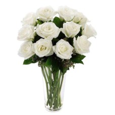 12 White Ecuadorian Roses