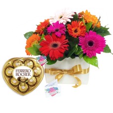 Boxed Assorted Daisies Love Package