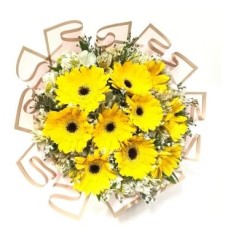 Gerbera Daisies Sunlight