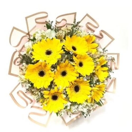 Gerbera Daisies Sunlight