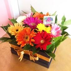 Rainbow Gerbera Daisies Box