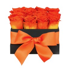24 Korean Roses Square Box