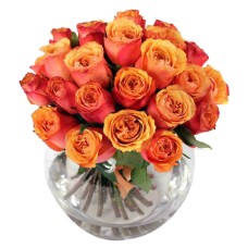 Korean Roses Bouquet (24 Stems)