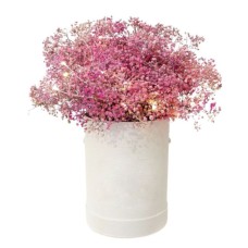 Pink Baby Breath Fairy Lights Box