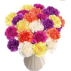 Rainbow of Carnations Bouquet (20 Carnations)