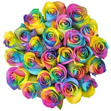 24 Rainbow Ecuadorian Roses