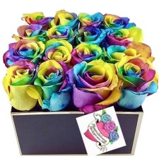 16 Rainbow Ecuadorian Roses Box