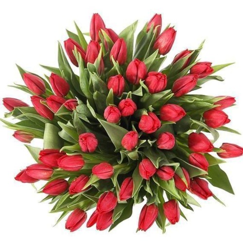 40 Red Tulips Bouquet