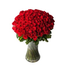 100 Roses Giant Bouquet