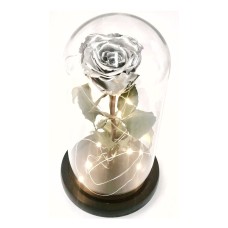 Silver Preserved Rose Fairy Lights Dome - LAST PIECE SALE!