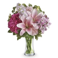 Bella Lily Hydrangea