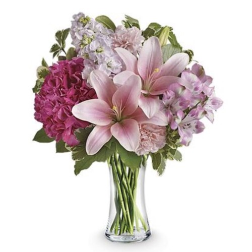 Bella Lily Hydrangea