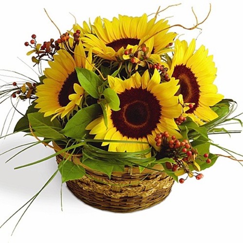 Sunflowers Basket
