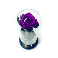 Violet Preserved Rose Fairy Lights Dome - BEST SELLER!