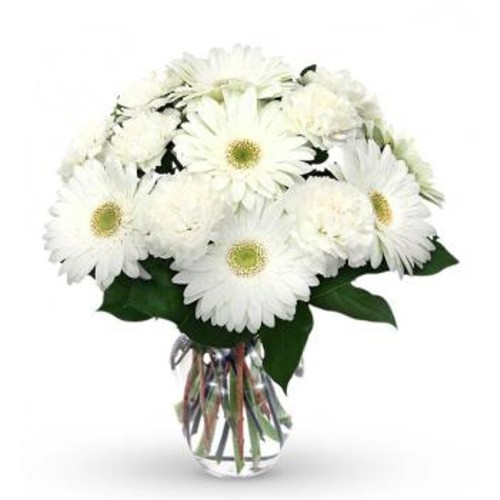 20 White Gerberas & Carnations