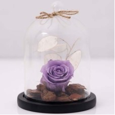 Forever Rose In Glass Dome- Purple (Standard)