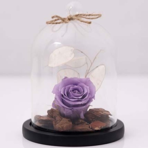 Forever Rose In Glass Dome- Purple (Standard)