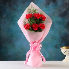 Radiant 6 Pink Carnations Bunch (Premium)