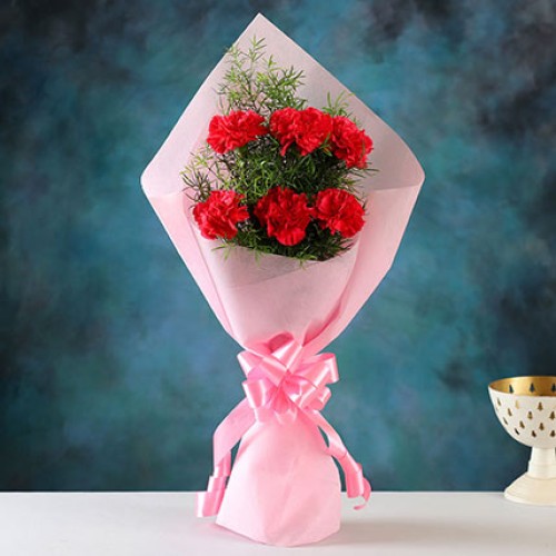 Radiant 6 Pink Carnations Bunch (Premium)