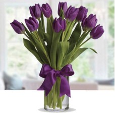 10 Purple Tulip Arrangement (Standard)