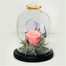 Beautiful Forever Rose In Glass Dome- Pink (Deluxe)