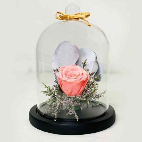 Beautiful Forever Rose In Glass Dome- Pink (Deluxe)